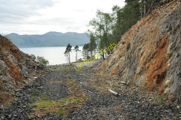 Photo 6"x4" Looking from the end of the forestry road west to Loch Linnhe Portnacroish c2010