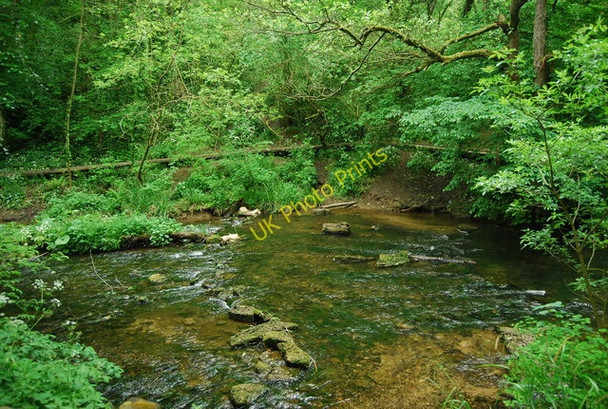 Photo 6"x4" River Derwent, Forge Valley East Ayton c2010