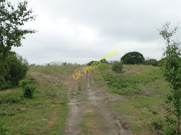Photo 6"x4" Brick Kiln Walks Westleton c2010