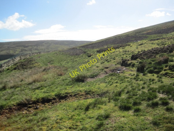 Photo 6"x4" Bridleway towards Gilling Brigg Slaggyford c2010