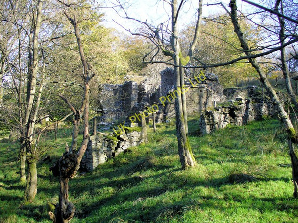 Photo 6"x4" The Ruins of Bentley House Pickup Bank c2007
