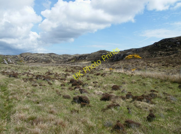 Photo 6"x4" Deer fence Ardalanish c2010