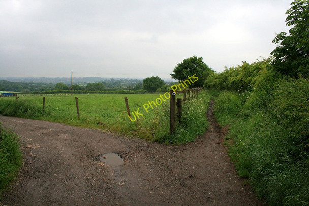 Photo 6"x4" A parting of the ways Babbington\/SK4943 c2010