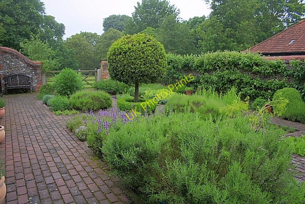 Photo 6"x4" The Herb Garden, Castle Acre Priory South Acre c2010