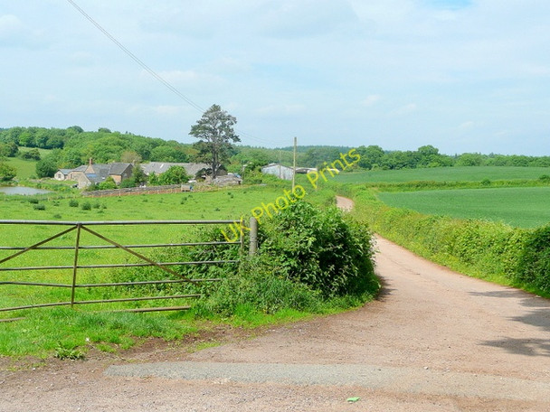 Photo 6"x4" Noxon Farm Clements End c2010