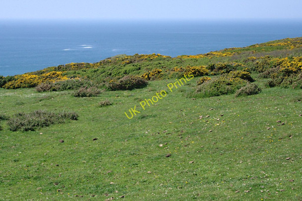 Photo 6"x4" Harscott High Cliff Coombe\/SS2011 c2010