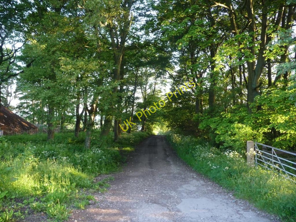 Photo 6"x4" The way to Lepton Square Lepton c2010