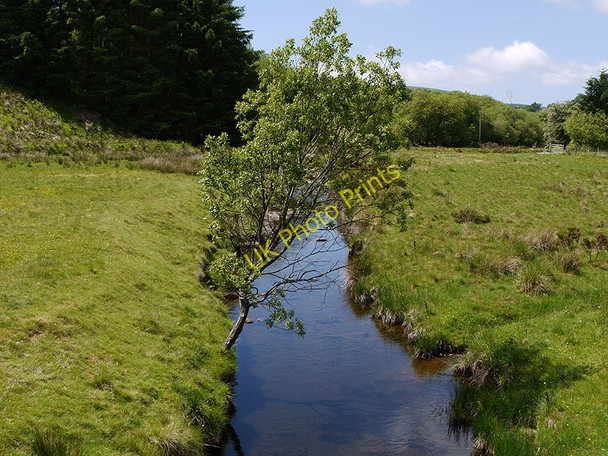 Photo 6"x4" Tree over the Afon Bidno Llangurig c2010