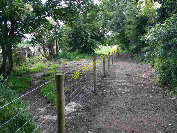 Photo 6"x4" New fence on footpath to Drayton from Shottery Stratford-upon-Avon c2010