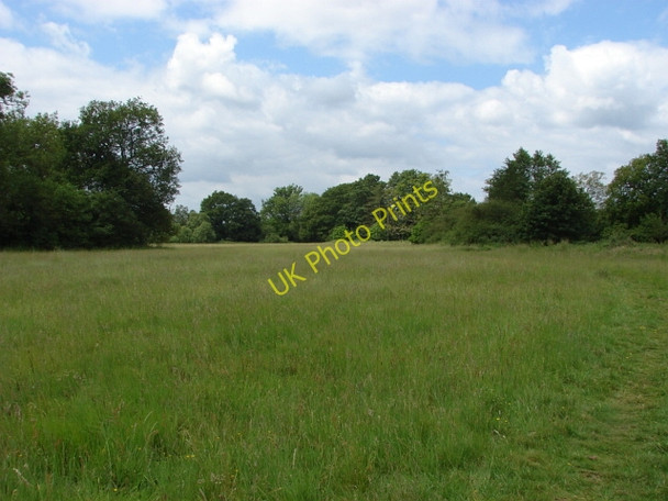 Photo 6"x4" Manor Farm, Chobham Mimbridge c2010