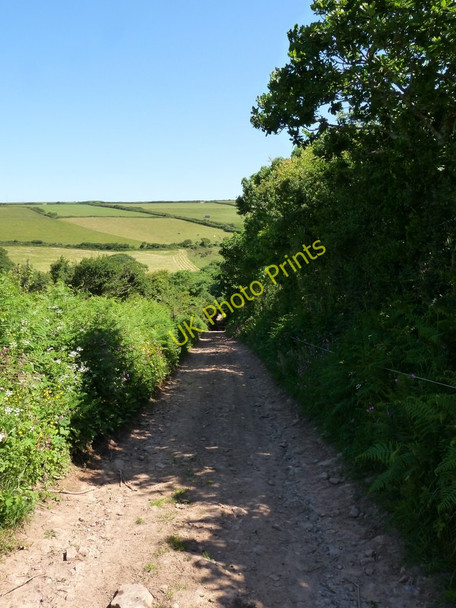 Photo 6"x4" A track which leads to Higher Spreacombe North Buckland c2010