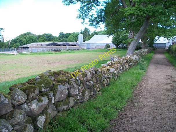 Photo 6"x4" Modern Farm Buildings at Trefan Criccieth c2010