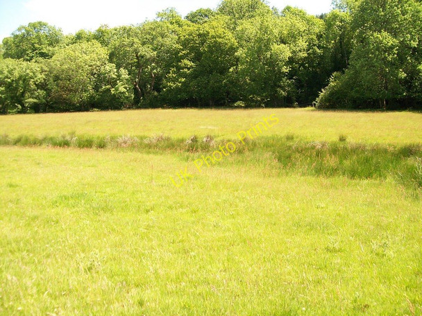 Photo 6"x4" Meadow above Afon Dwyfach at Tyddyn Crythor Rhoslan c2010