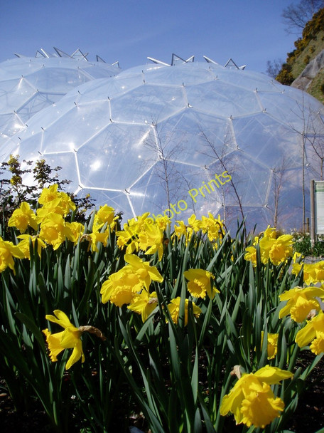 Photo 6"x4" Mediterranean Biome, Eden Project, Cornwall Bodelva c2008