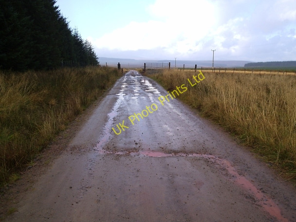 Photo 6"x4" The Road To Dalnessie Through Dalchork Wood Achfrish c2005