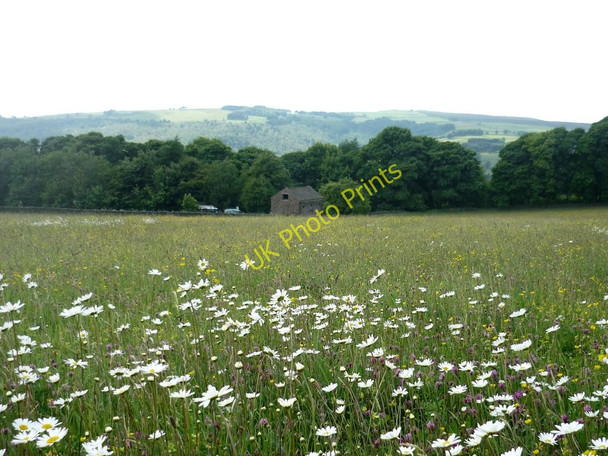 Photo 6"x4" Hay Wood, nr. Grouse Inn, Longshaw, Derbyshire Grindleford c2010