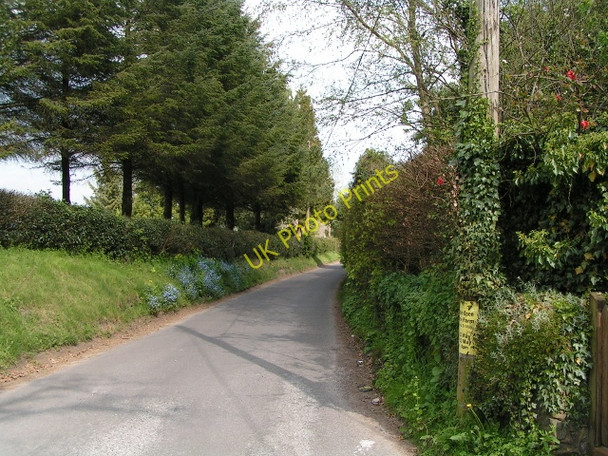 Photo 6"x4" Cycle route heading east from the well at Donhead St Mary Donhead St Mary c2010