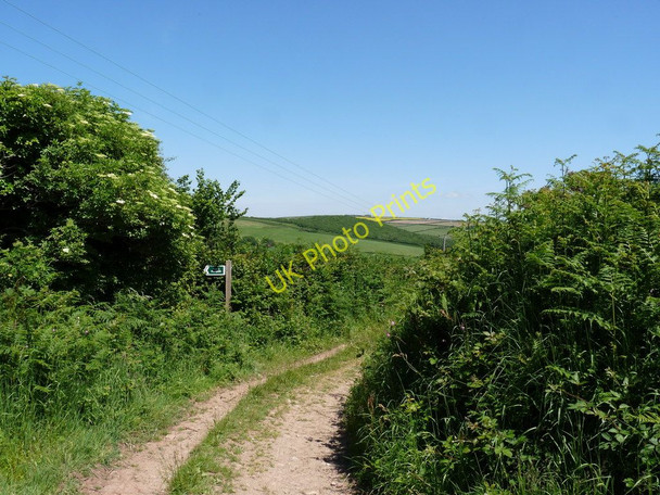 Photo 6"x4" A Footpath to Smallcombe Bridge leaving Wood Lane Nethercott\/SS4839 c2010