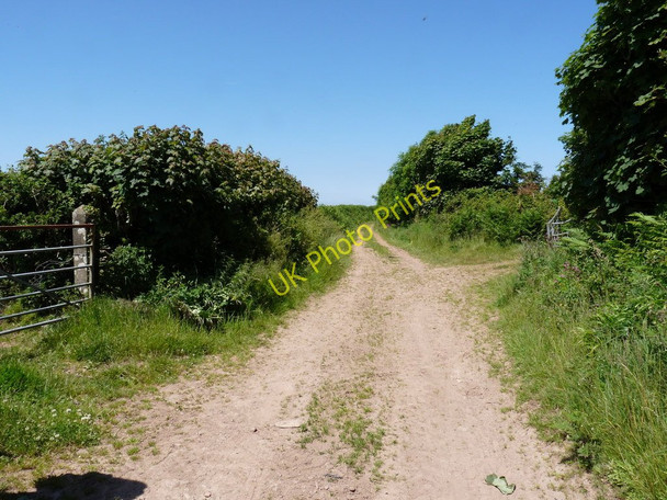 Photo 6"x4" Part of Eastern Down Lane which soon becomes Wood Lane Nethercott\/SS4839 c2010