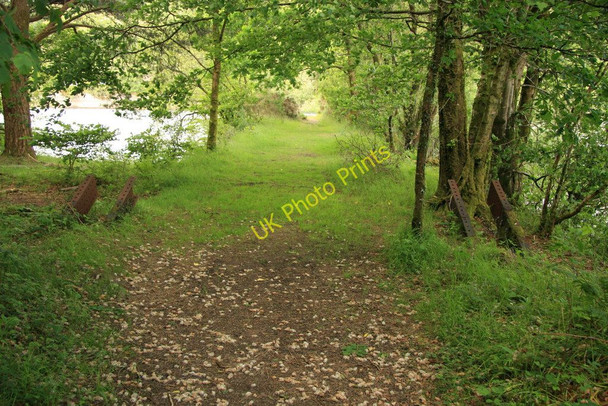 Photo 6"x4" Burrator Reservoir suspension bridge Sheepstor c2010