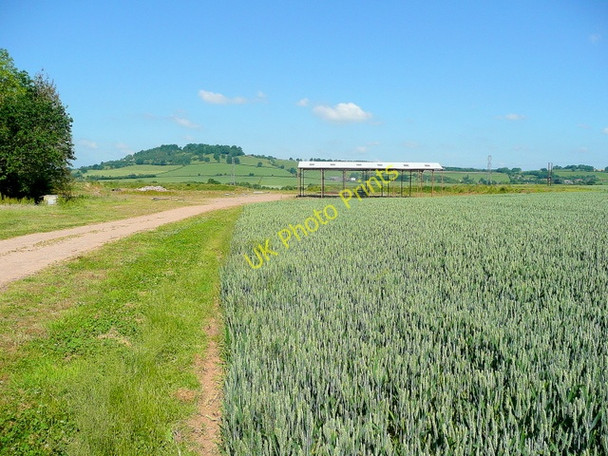 Photo 6"x4" Cereal land near Dinedor Hill 3 Dinedor c2010