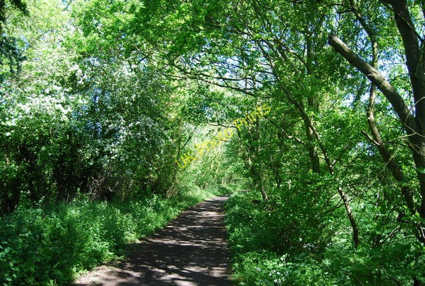 Photo 6"x4" Old railway line crossing Ramsdale Beck Fylingthorpe c2010