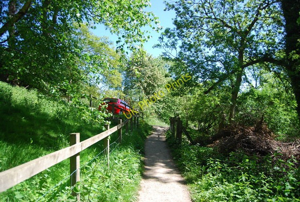 Photo 6"x4" Footpath approaching Robin Hood's Bay Fylingthorpe c2010