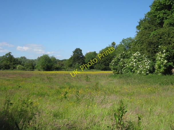 Photo 6"x4" Meadow near Home Farm Shoreham\/TQ5161 c2010