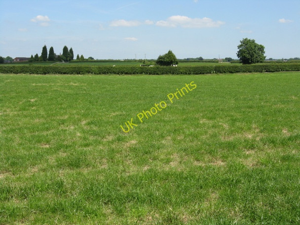 Photo 6"x4" Peaceful Cheshire Arclid Green c2010