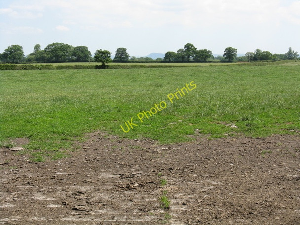 Photo 6"x4" Big field near Cottage Farm Arclid Green c2010