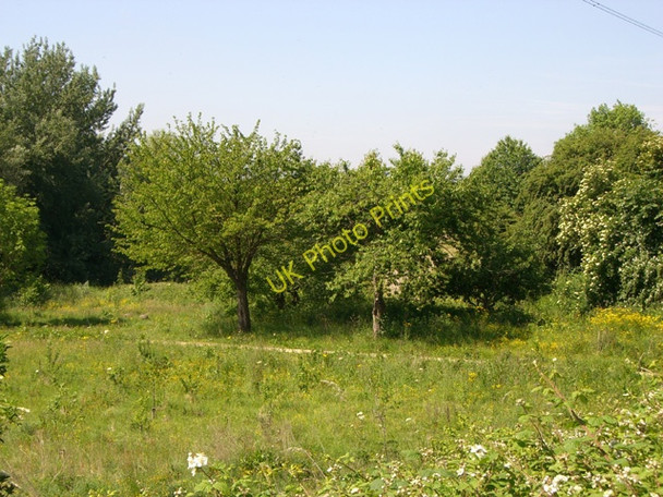 Photo 6"x4" Mersey Vale Nature Park, Orchard Stockport\/SJ8990 c2010