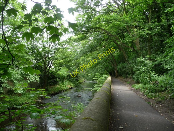 Photo 6"x4" Water of Leith and its Walkway Craigleith\/NT2374 c2010