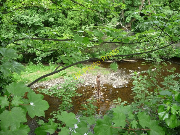 Photo 6"x4" Standing in the Water of Leith Dean\/NT2474 c2010