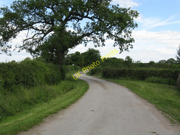Photo 6"x4" End of Brindley Lane Bradwall Green c2010