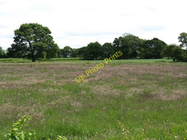 Photo 6"x4" Fields adjoining Newcastle Road (A50), Brereton Green Brownedge c2010