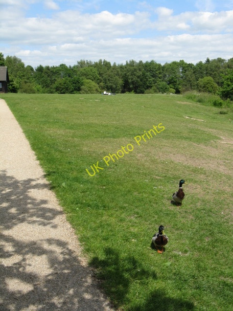 Photo 6"x4" Local residents, Brereton Mere Davenport\/SJ8065 c2010