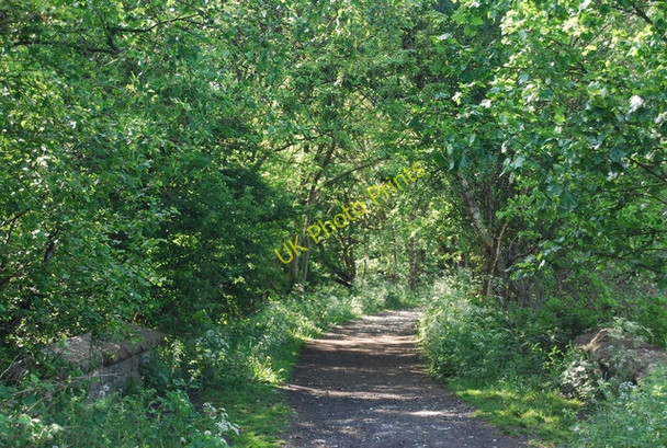 Photo 6"x4" The old railway line Whitby\/NZ8910 c2010
