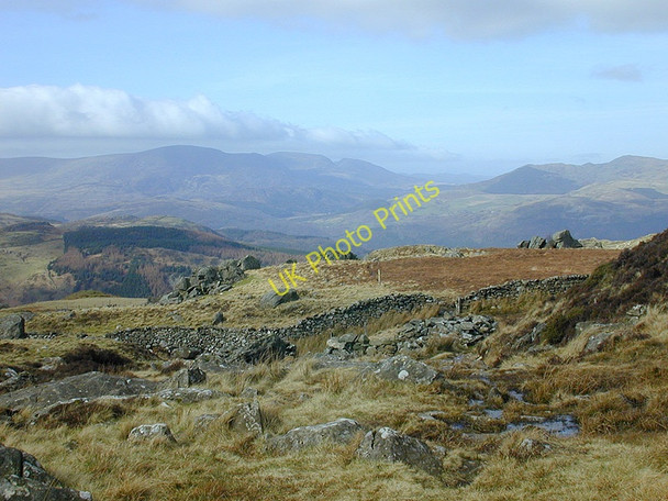 Photo 6"x4" Retrospect of the Foxes' Path Dolgellau c2000