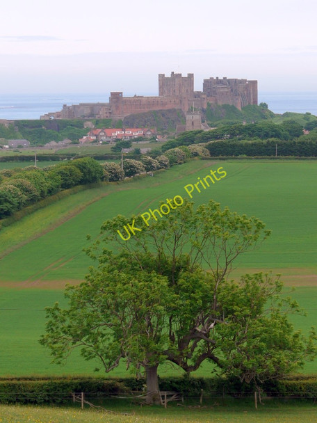 Photo 6"x4" Bamburgh Castle from Shada Plantation Bamburgh c2010