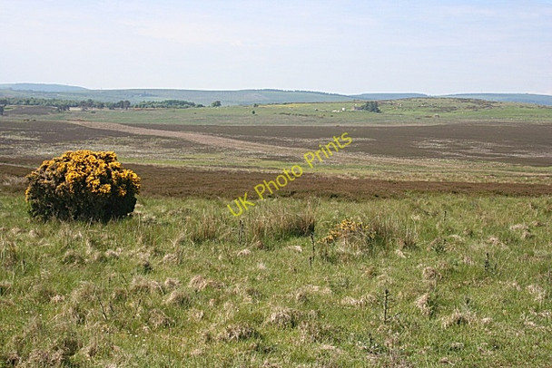 Photo 6"x4" Moorland near Monboys Craiggie Cat c2010