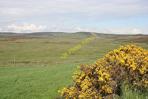 Photo 6"x4" Looking towards Curlethney Craiggie Cat c2010