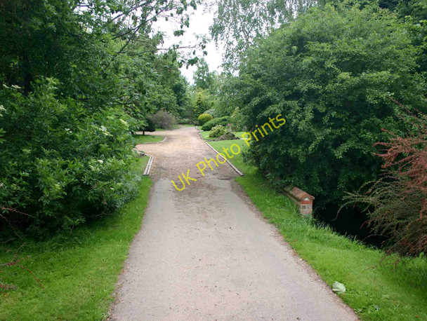 Photo 6"x4" Bridge over Tus Brook Grove End\/SP3039 c2010