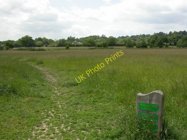 Photo 6"x4" Colehill, Bytheway Field Wimborne Minster c2010
