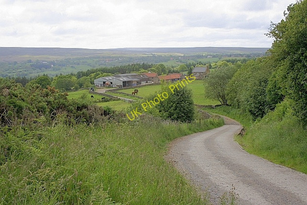 Photo 6"x4" Thackside Farm Goathland c2010