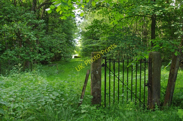 Photo 6"x4" Ride through the wood, Sidegarth Aughton\/SD5567 c2010
