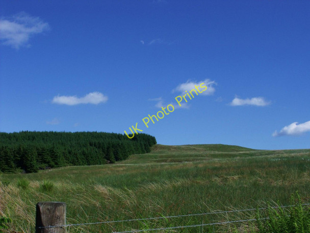 Photo 6"x4" Wild Muir High Banton c2010