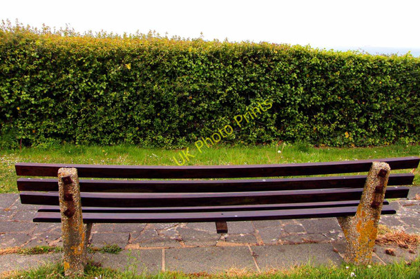 Photo 6"x4" Nice view of the hedge Ventnor c2010
