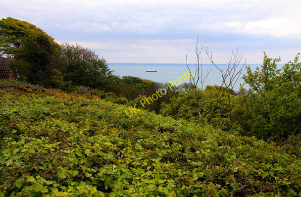 Photo 6"x4" Looking out to sea from the viewpoint Ventnor c2010