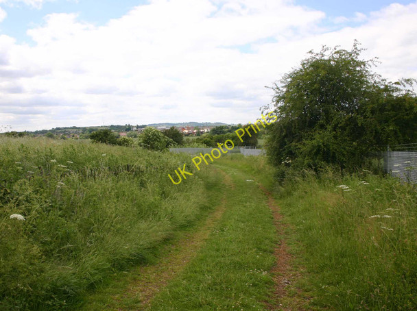 Photo 6"x4" Footpath to Shipston-on-Stour Barcheston c2010 P1