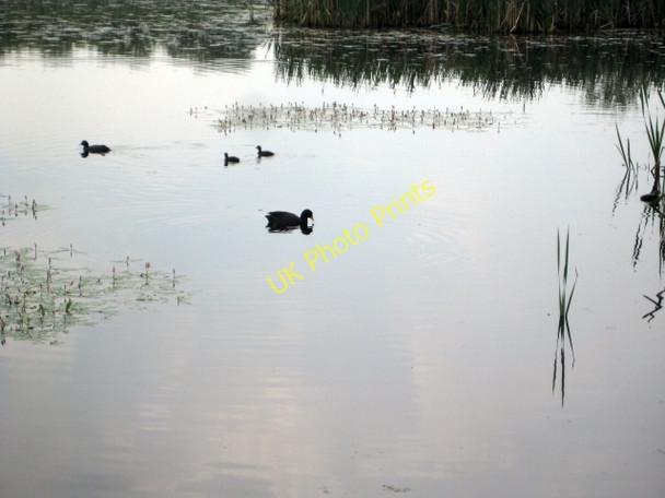 Photo 6"x4" More of Stanley Ferry Flash (9) Wakefield\/SE3320 c2010